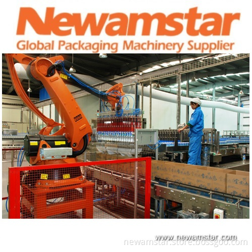 Robot Pelletizing System